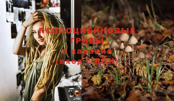 PSILOCYBIN Алексин