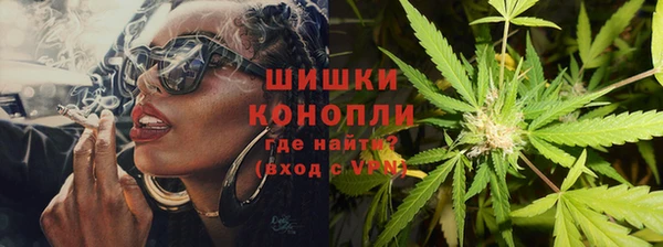PSILOCYBIN Алексин