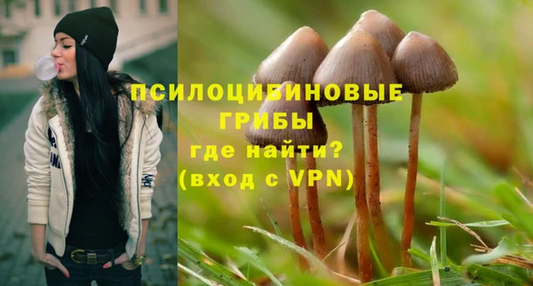 МДМА Алексеевка