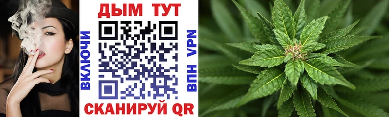 где купить   Апатиты  Конопля индика 